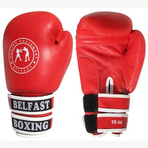 SPARRING GLOVES